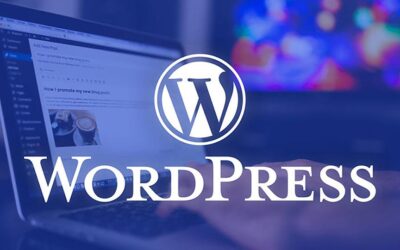 Qu’est-ce qu’on peut faire avec WordPress ?