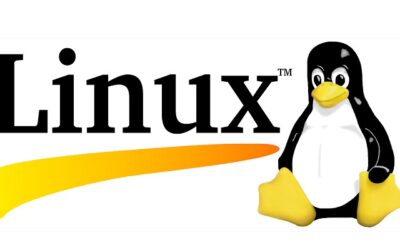Qu’est-ce que l’hébergement Linux ?