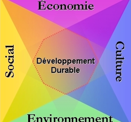 Quelles sont les 4 piliers du développement durable ?